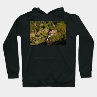 Hidden by nature Hoodie